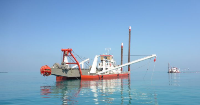 Beaver at sea